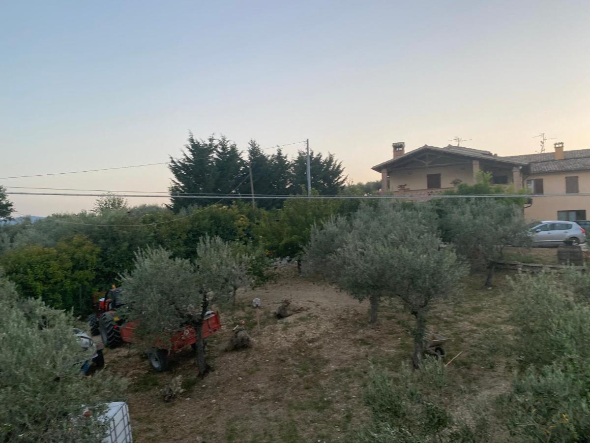 Casa Orsini Bauernhof *